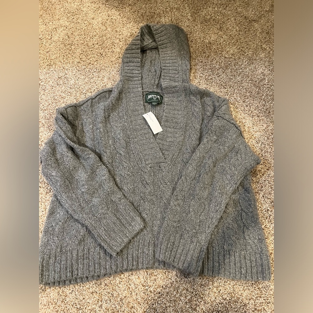 American eagle hooded sweater